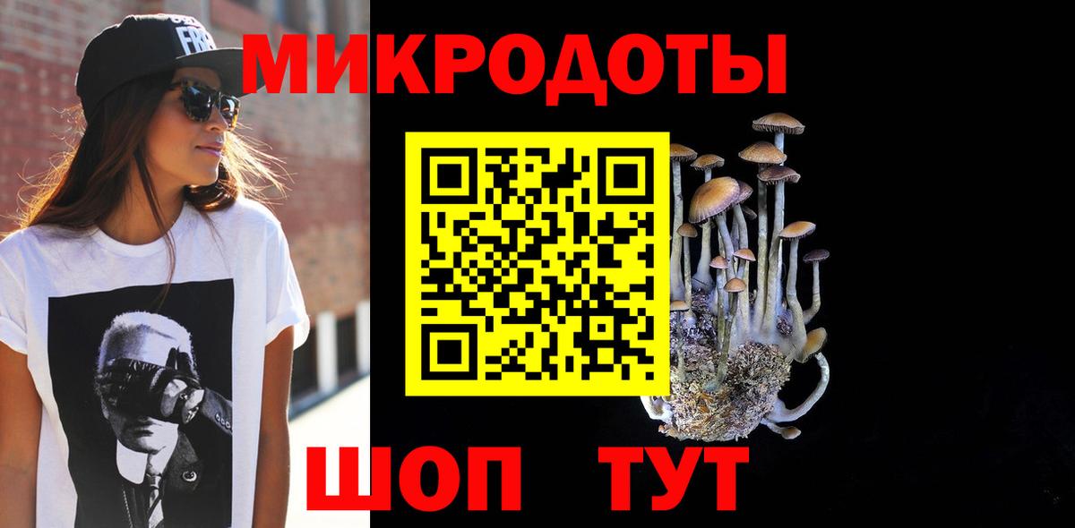 Галлюциногенные грибы Psilocybe  Вход с VPN  Энгельс 